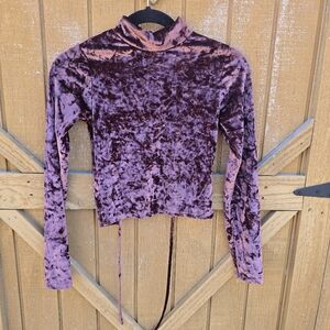 Velvet Long Sleeve Top in Purple